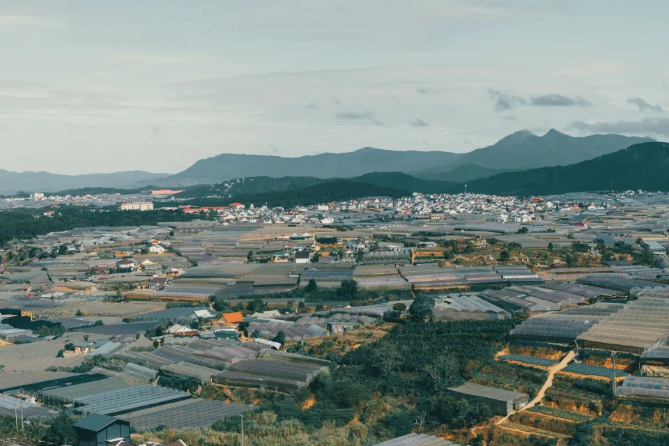 Quầy lễ tân